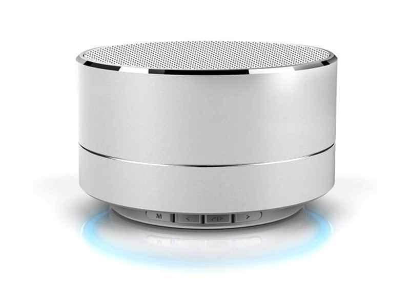 Altoparlante Bluetooth Reekin Marlin con vivavoce (argento)