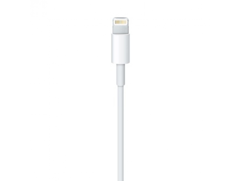 Lightning to USB Cable (0.5 m)