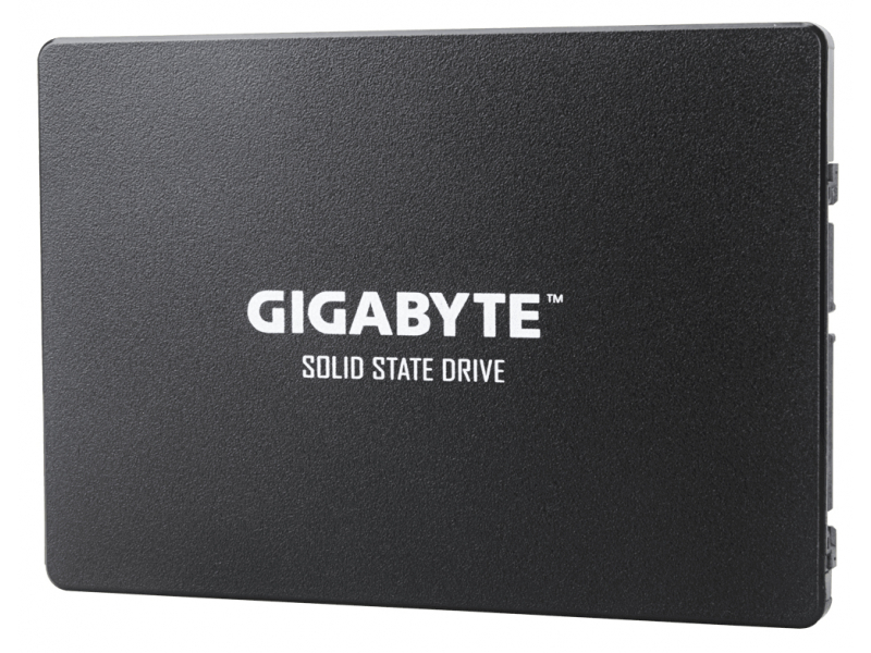 Gigabyte GP-GSTFS31100TNTD drives allo stato solido 2.5" 1 TB SATA