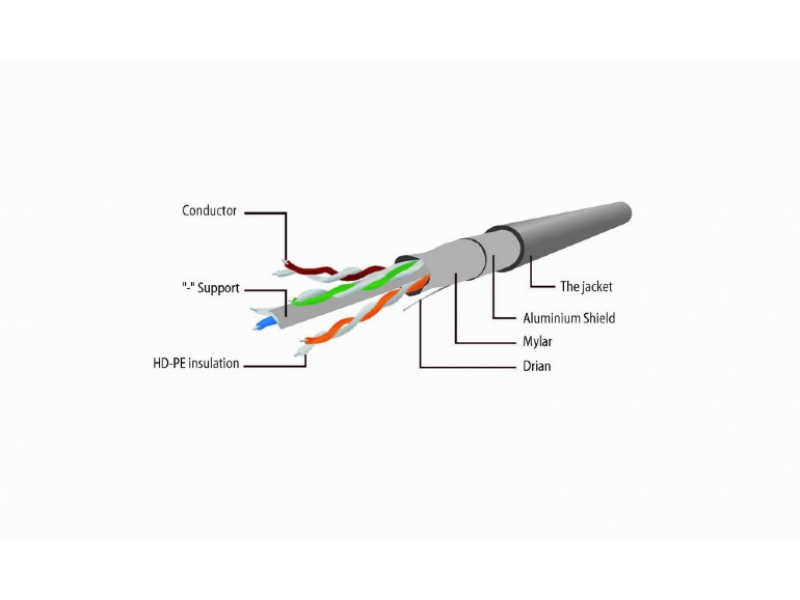 CableXpert PP6-30M - 30m - Cat6 - F/UTP (FTP) - RJ-45 - RJ-45 - Grigio PP6-30M