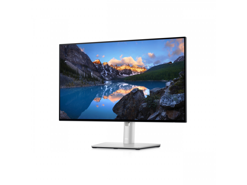 DELL UltraSharp Monitor 24 USB-C Hub: U2422HE