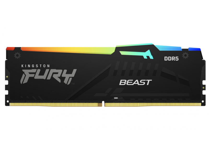 FURY BEAST RGB EXPO