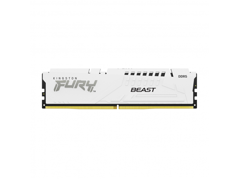 DIMM FURY BEAST WHITE EXPO