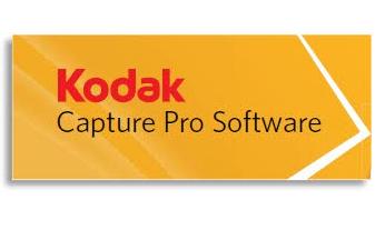 Kodak Alaris Capture Pro, Grp DX, 1Y Editor grafico 1 anno/i