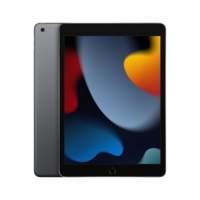 Apple iPad 256 GB 25,9 cm [10.2] Wi-Fi 5 [802.11ac] iPadOS 15 Grigio (APPLE IPAD WI-FI 9th GEN 256GB 10.2",SPACE GREY)