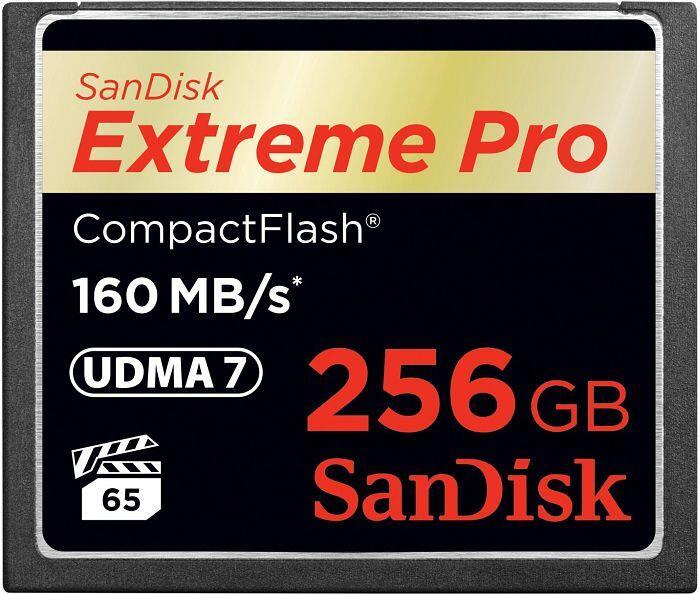 COMPACT FLASH CARD 256GB