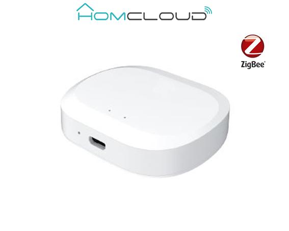 Centralina intelligente Hub - ZigbeeBluetooth