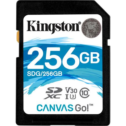 Kingston Technology Canvas Go! 256 GB SDXC UHS-I Classe 10 (KTC 256GB SDXC Canvas Go)