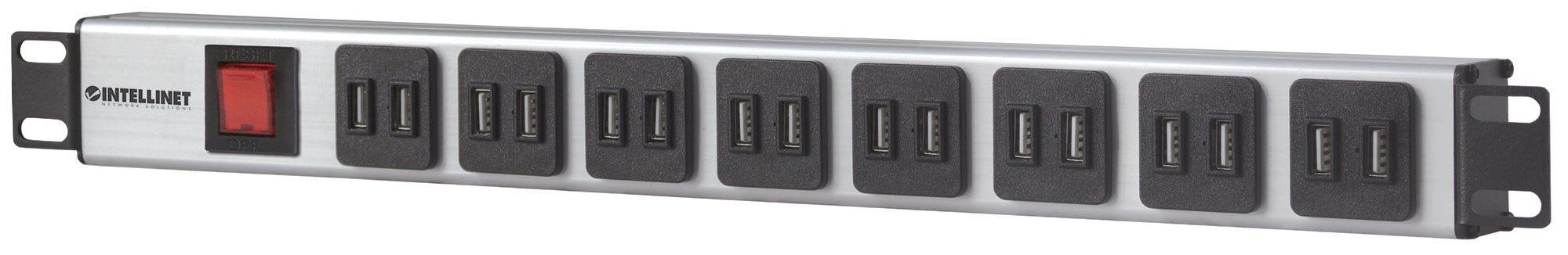 Intellinet 164580 unità di distribuzione dell'energia (PDU) 1U Blu, Grigio