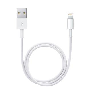 Lightning to USB Cable (0.5 m)