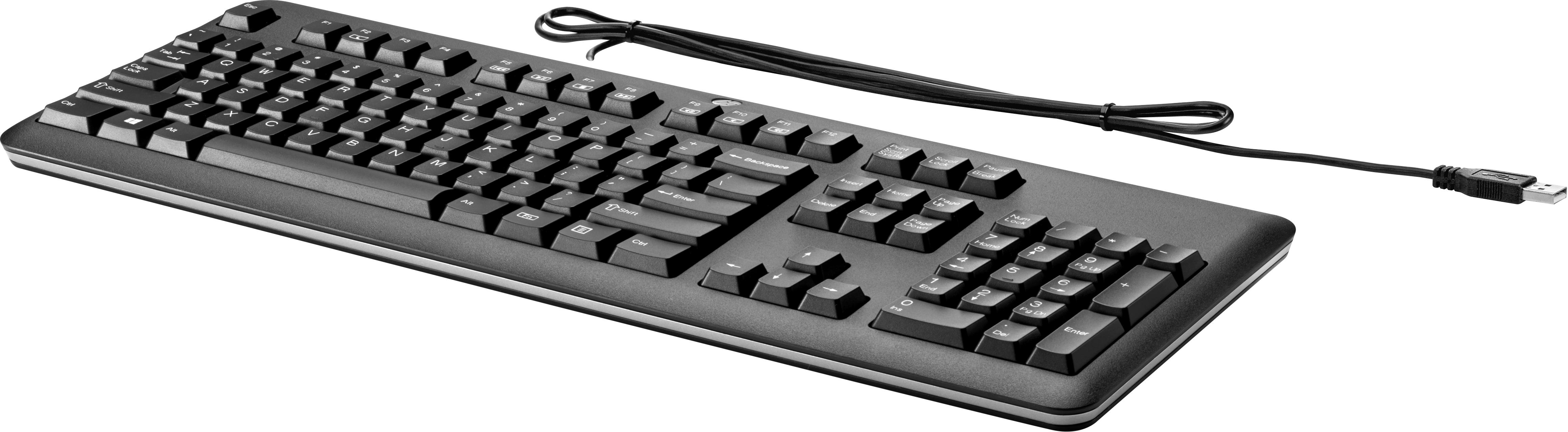 HP USB Keyboard (Black) - CH