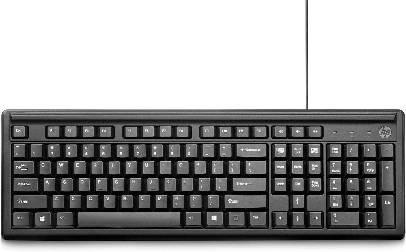 HP Tastiera Keyboard 100