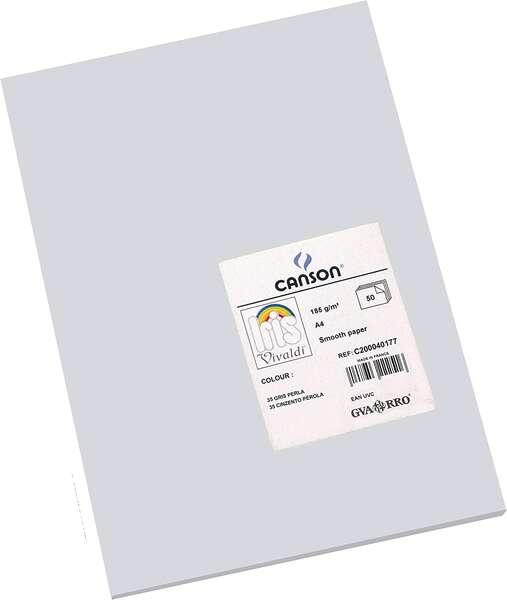 Tanson Guarro Pack di 50 carte Iris A4 185G - 21x29,7 cm - colore grigio perla