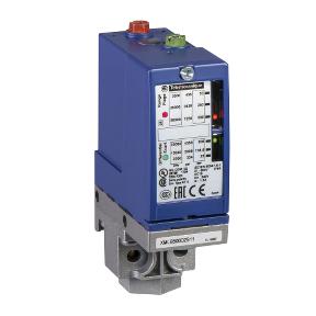 Schneider Electric XMLB300D2S11 interruttore di sicurezza industriale Cablato