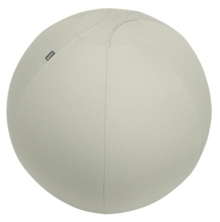 Leitz Ergo Grigio Interno Sfera (Leitz Ergo Active Sitting Ball 55cm Light Grey)