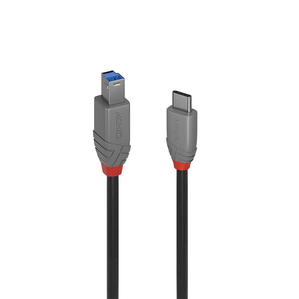 Lindy 36668 non classificato (3m USB 3.2 TYPE C TO USB B)