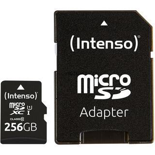 Scheda di memoria intenzionale Intero-Flash 256GB (MicroSDXC incl. Adattatore SD-UHS-1)