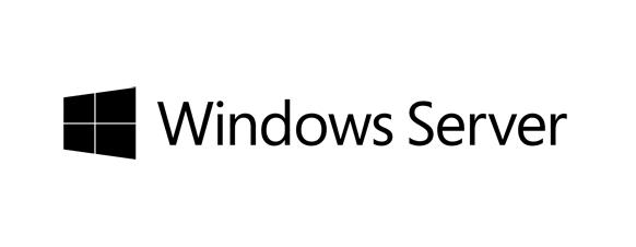 Fujitsu Windows Server 2019 CAL Client Access License (CAL) 1 licenza/e