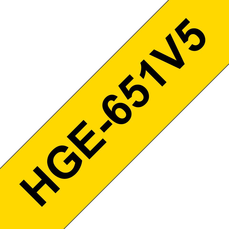 HGE651V5 NASTRO BROTHER 24MM N/G