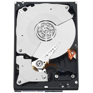 Western Digital RE4 1TB disco rigido interno 7200 Giri/min 64 MB 3.5 Seriale ATA II (Western Digital RE4 Enterprise 1TB Interna