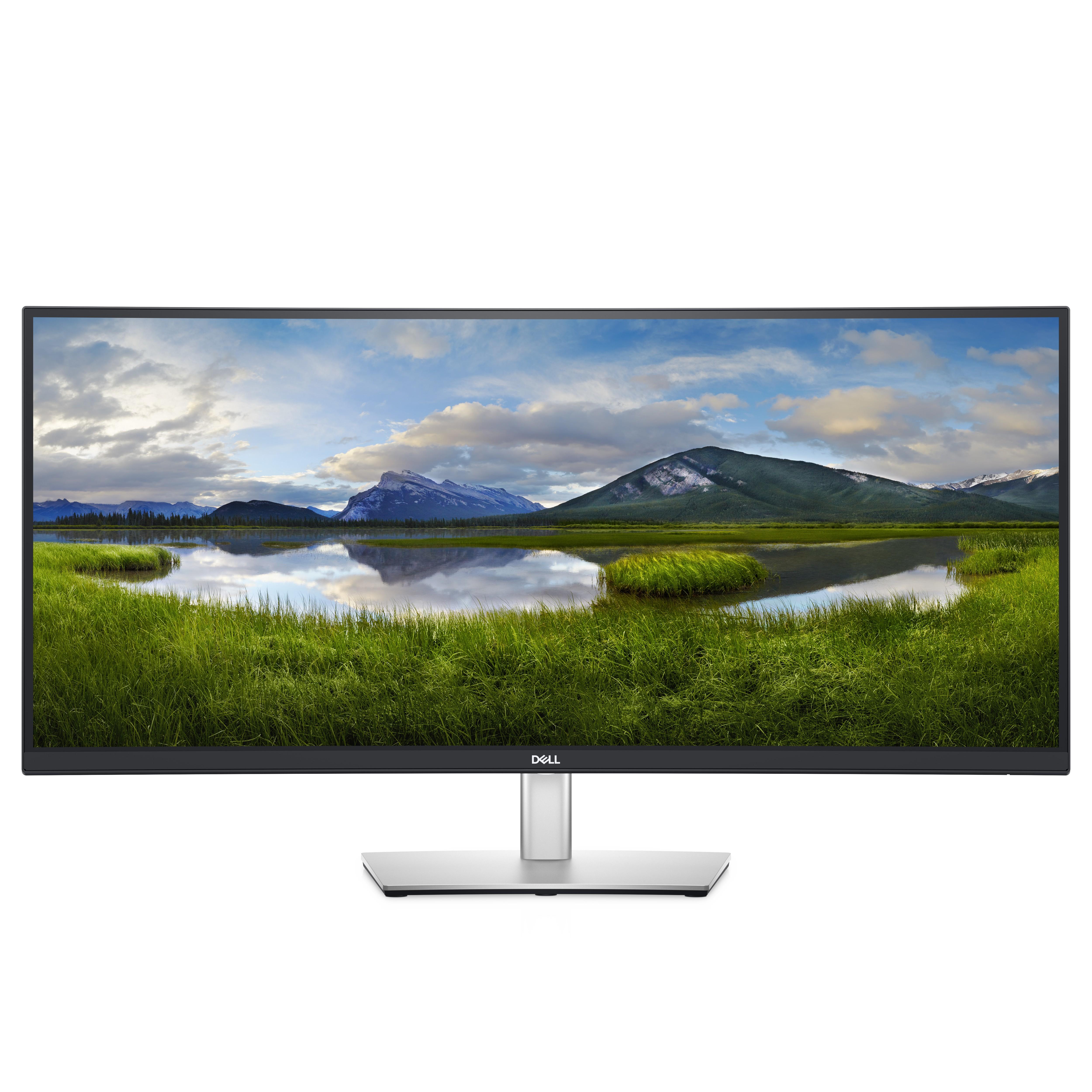 DELL P Series Monitor USB-C curvo 34 P3421W