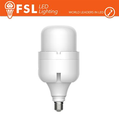 Lampada 80W - 110230 160 E27