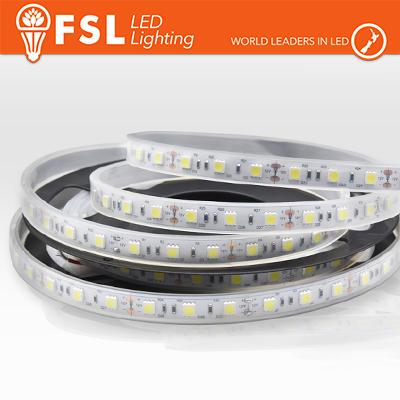 Striscia LED 5m IP65 5050 24V - 12W/m 60led/m 4000K