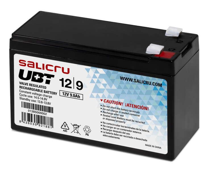 Salicru 013BS000002 batteria UPS Acido piombo (VRLA) 12 V 9 Ah