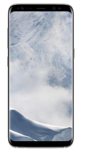 Samsung Galaxy S8 SM-G950F 14,7 cm (5.8") SIM singola Android 7.0 4G USB tipo-C 4 GB 64 GB 3000 mAh Argento