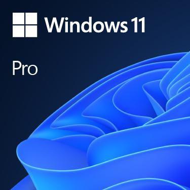 Microsoft Windows 11 Pro 64BIT SB OEM tedesco