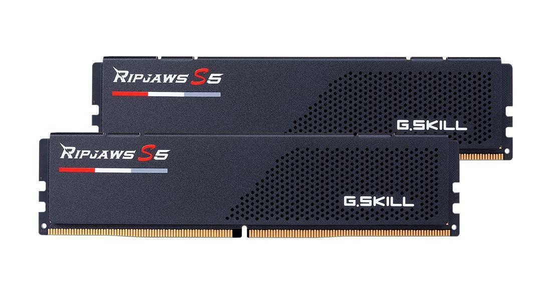 Modulo di memoria 2Gx2-Rs5K 64 Gb