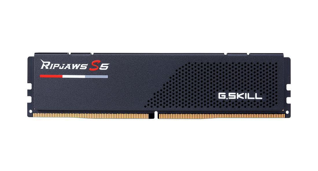 Modulo di memoria 32Gx2-Rs5K 64