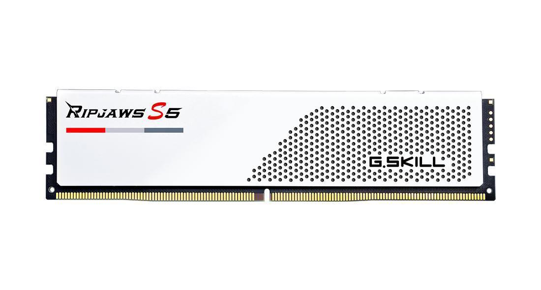 Modulo di memoria 32Gx2-Rs5W 64