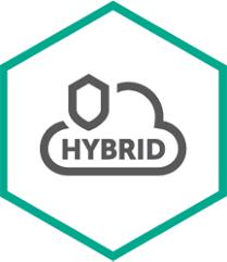 Kaspersky Hybrid Cloud Security Rinnovo 12 mese[i] (HYBRID CLOUD SEC ENT SERV - 1 Y RNW 0005 - 0009)