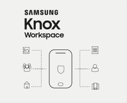 Samsung KNOX Workspace, 1 Y 1 anno/i