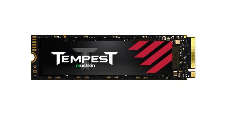 Tempesta M.2 256 Gb PCI